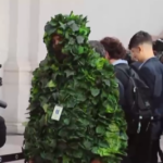 «Ese se escapó del show de Bad Bunny»: periodista llega vestido de planta al cambio de mando | TV y Espectáculo