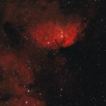 FOTOS: Roscosmos muestra 'flores' espaciales la víspera del Día Internacional de la Mujer