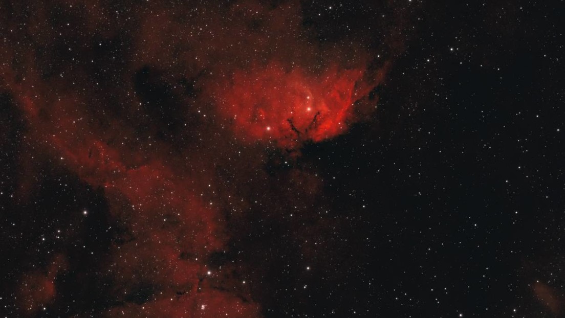 FOTOS: Roscosmos muestra 'flores' espaciales la víspera del Día Internacional de la Mujer