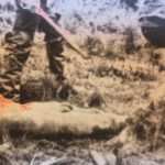 Karukinká, de Dionisio Seissus: Cuentos sobre violencias que aplastan, que sobreviven | Artes y Cultura