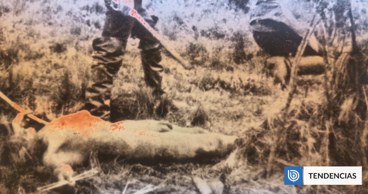 Karukinká, de Dionisio Seissus: Cuentos sobre violencias que aplastan, que sobreviven | Artes y Cultura