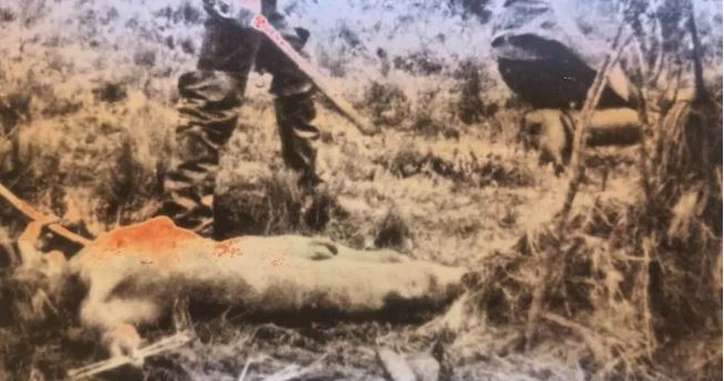 Karukinká, de Dionisio Seissus: Cuentos sobre violencias que aplastan, que sobreviven | Artes y Cultura