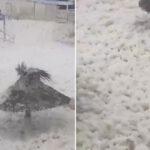 VIDEO: Esta playa argentina cubierta de 'nieve' no es lo que parece