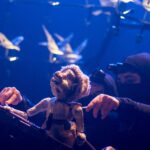 12 funciones gratuitas en la Región Metropolitana