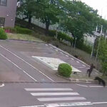 VIDEO: Un oso persigue y ataca a un hombre en Japón