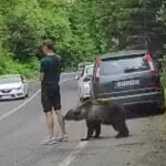 La insólita reacción de un hombre al ser mordido por un oso (VIDEO)