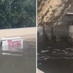 Un robot repartidor demuestra que ni las inundaciones son un obstáculo para su entrega (VIDEO)