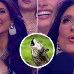 «¡Auú!»: Miss Huechuraba sorprende con particular talento oculto en Miss Universo Chile | dopamina