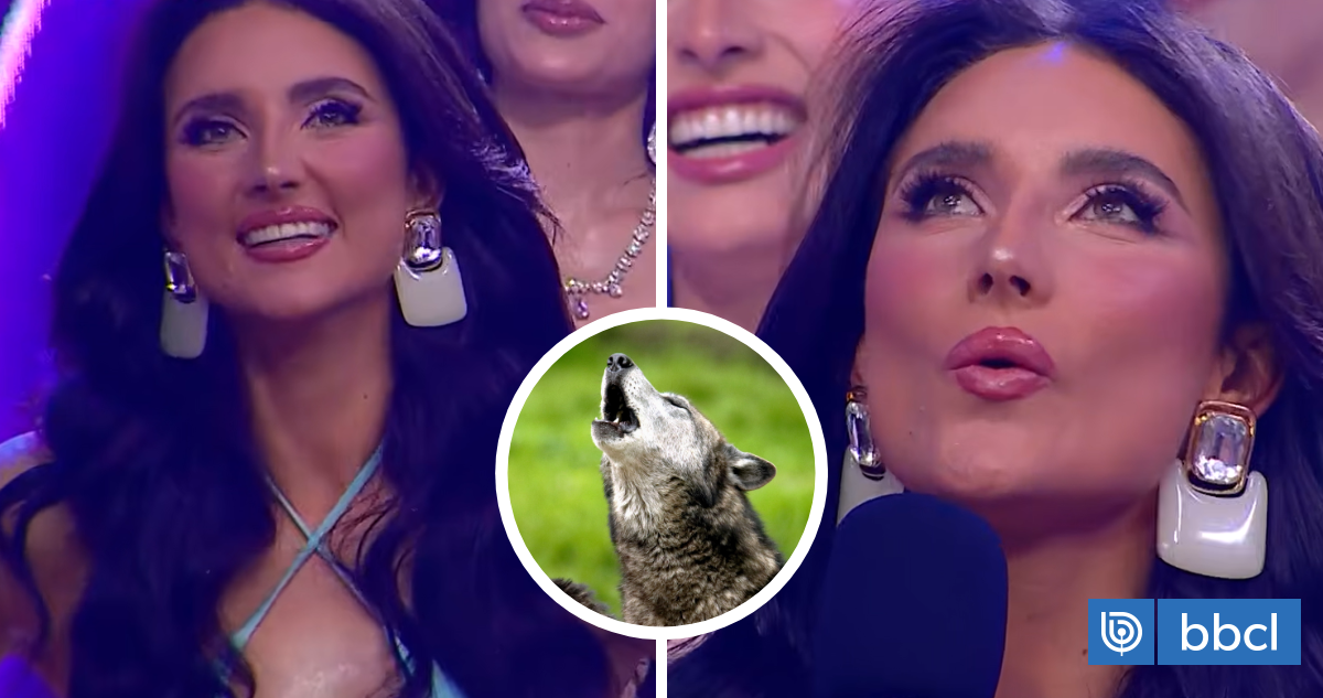 «¡Auú!»: Miss Huechuraba sorprende con particular talento oculto en Miss Universo Chile | dopamina