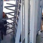 Dos perros se cuelan en un sistema de transporte y les dan una tierna 'sanción' (VIDEO)