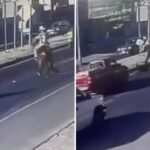 Un jinete pierde el control de su caballo y choca violentamente contra un motociclista (VIDEO)