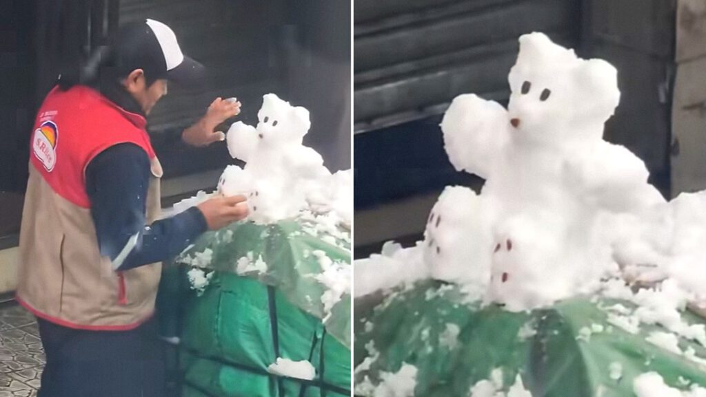 VIDEO: El osito de nieve que derrite corazones en medio de la atípica estampa invernal de Bolivia