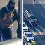 VIDEO: Huye en una moto robada, roba gasolina y desata una cacería policial de película