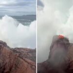 VIDEO: Lo que parecía una escena tranquila terminó con una ola a punto de arrastrarlo todo