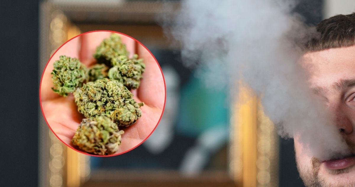 Marihuana en Chile: Entre el uso habitual, potenciales beneficios y señales de una posible adicción | Salud y Bienestar