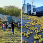 Tren descarrila tras embestir un camión lleno de limones (VIDEOS)