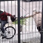 VIDEO: Arrastra a una anciana tras robarle la cartera y la deja con traumatismo facial