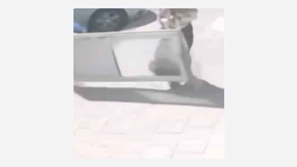 VIDEO: Caminaba por la acera y casi es aplastada por una puerta que cayó del cielo