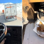 VIDEO: Camionero muestra cómo cocina milanesas mientras conduce hacia un cruce fronterizo