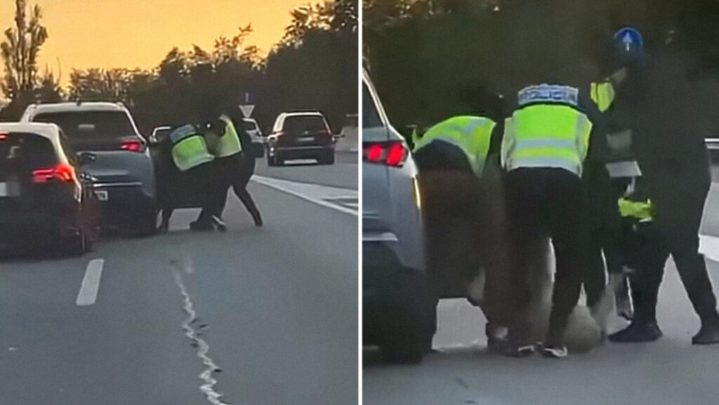 VIDEO: Falsos policías sacan de un auto y secuestran a un hombre en una autopista española