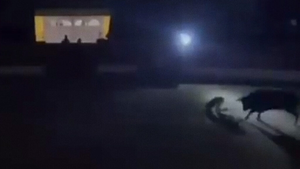 VIDEO: Un torero queda a oscuras frente al toro durante un apagón y sale volando por los aires