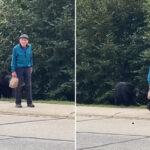 "Justo detrás de ti": la reacción de un anciano ante un oso a sus espaldas no tiene precio (VIDEO)