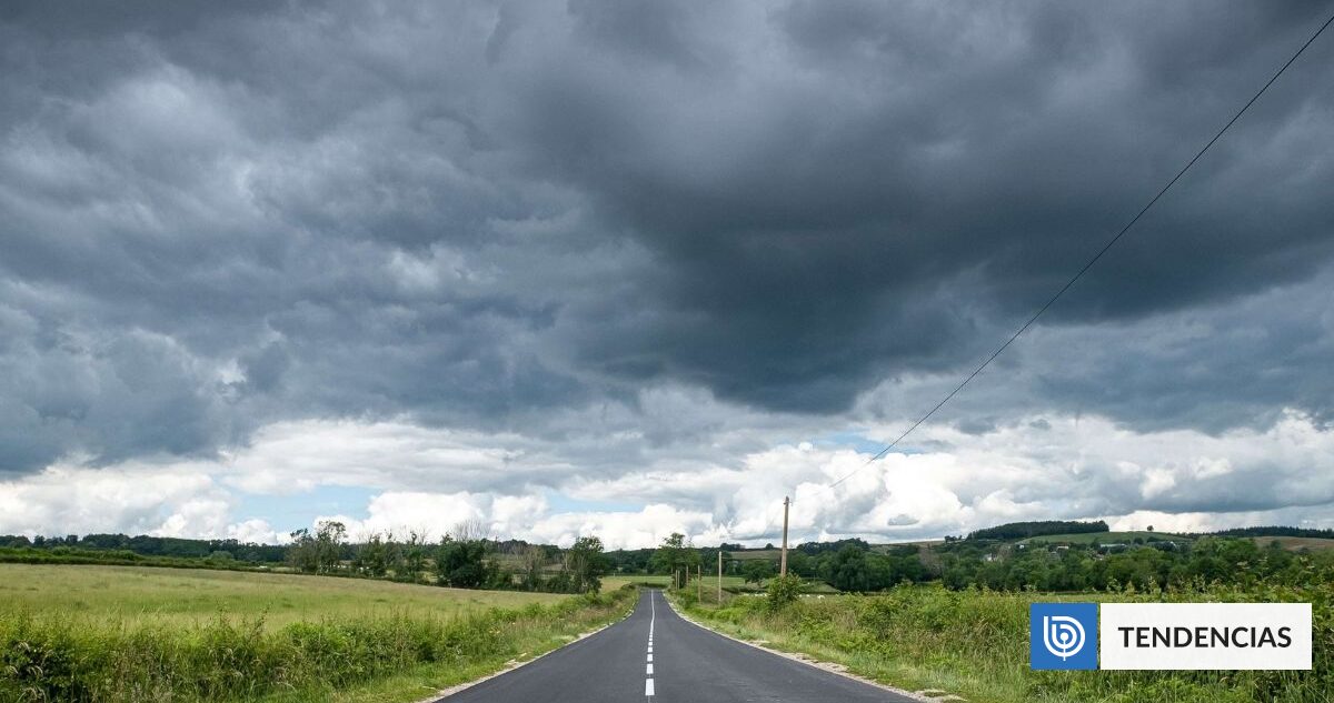 Experto académico alerta que gran parte de Chile se encuentra «sobre un polvorín» climático | Ciencia y Tecnología