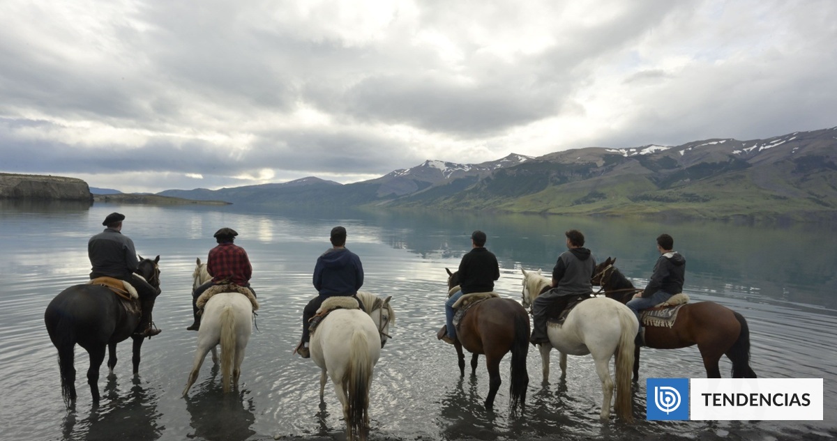 Puerto Natales se reinventa: Baños de bosque y estancias que se adaptan | Artes y Cultura